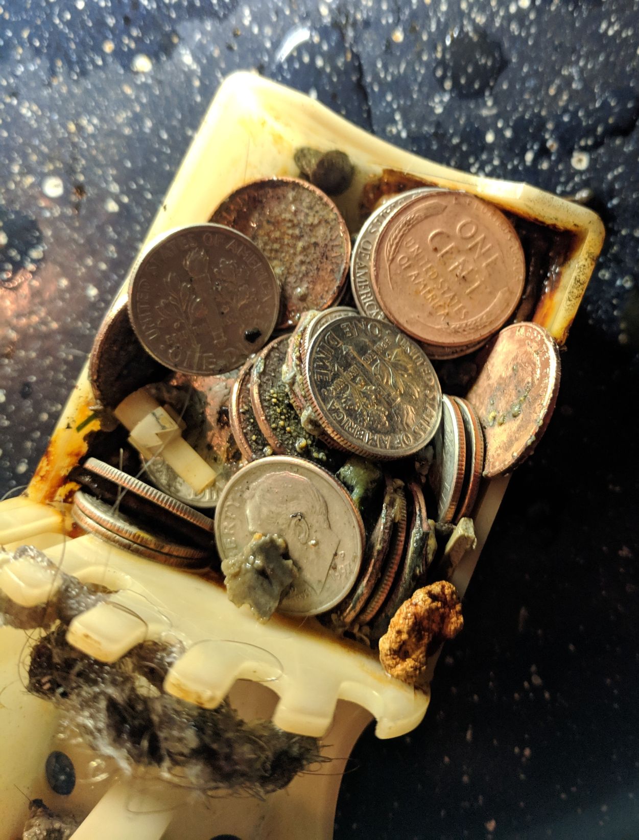 Instead-Of-A-Dryer-Coin.