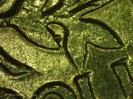 1983-P-Quarter-Looks-Like-A-Tail-On-The-O-Of-Dollar-And-Maybe-Some-Die-Chips