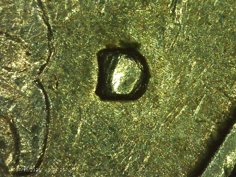 1979-D-Quarter-Possible-RPM