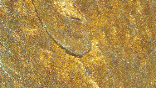 1992-D-LMC-Possible-Doubling-Under-Ear