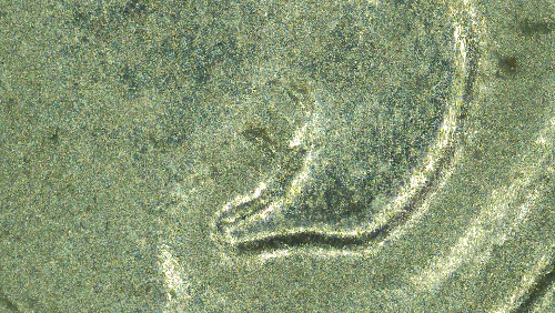 1994-D-Dime-Possible-Doubling-Inside-Of-Ear-And-Something-On-Neck