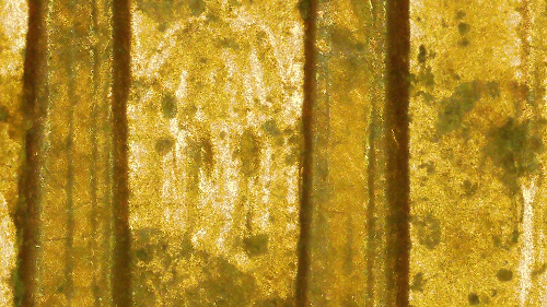1998-D-LMC-Minor-Unlisted-Doubling-On-Left-Side-Of-7th-Column
