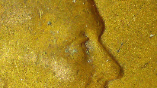 1955-D-LWC-WDDO-001-Found-Today