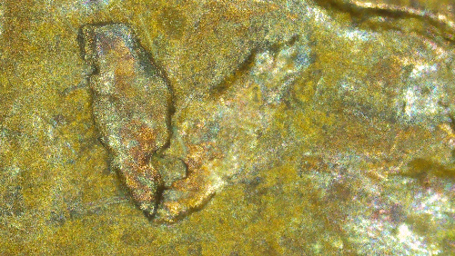 1964-D-LMC--Are-These-Die-Chips-On-Lincolns-Head