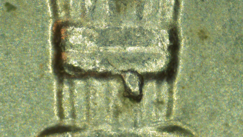 2018-P-Dime-WDDR-004