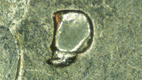 1976-D-Quarter-Die-Chip-Or-Moved-Metal-Under-MM