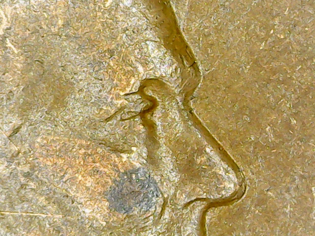 1944-Lincoln-Cent--DDO?
