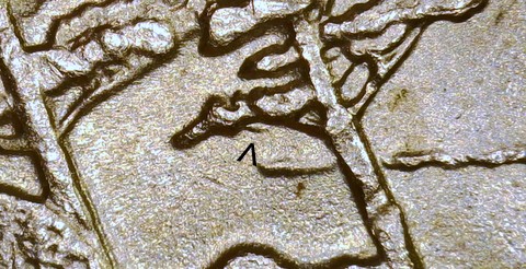 2005-P-Oiv-/-DDR-023-?