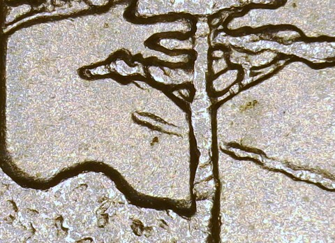 2005-P-Oiv-/-DDR-023-?
