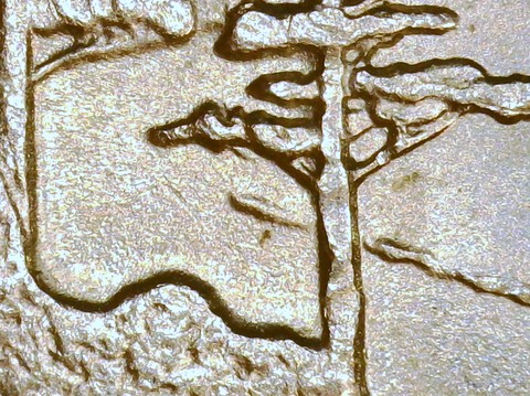 2005-P-Oiv-/-DDR-023-?
