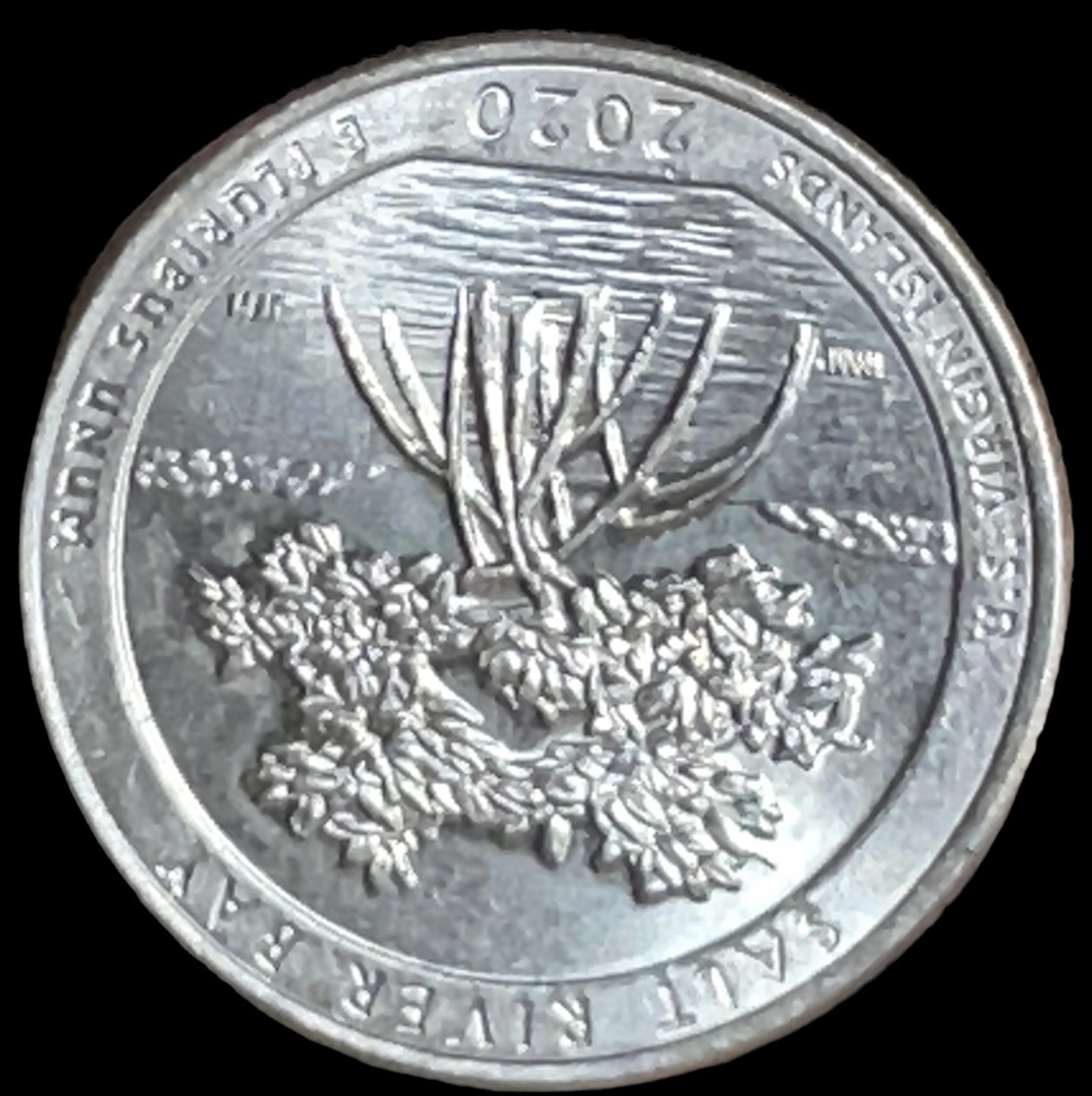 Still-Trying-For-A-Good-Coin-Picture-Method