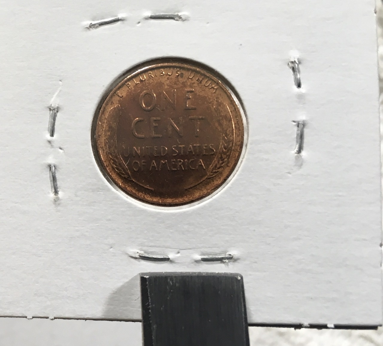 Crimping-Staples---Found-Better-Tool-Than-Electrician-Plyers---Just-An-FYI