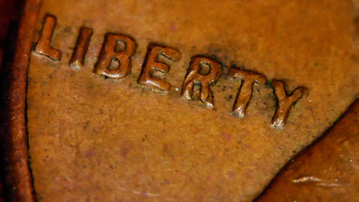 New-Member-&-1958-Double-Die-Opinions