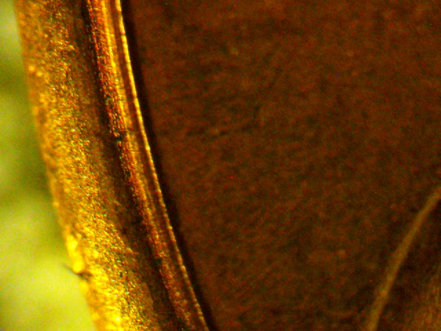 1973-LMC-----Is-There-Such-Thing-As-DD-Rim-Or-DD-Bust?