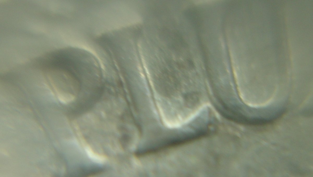 1999-P-Nickel-Doubled-Die-Obverse?