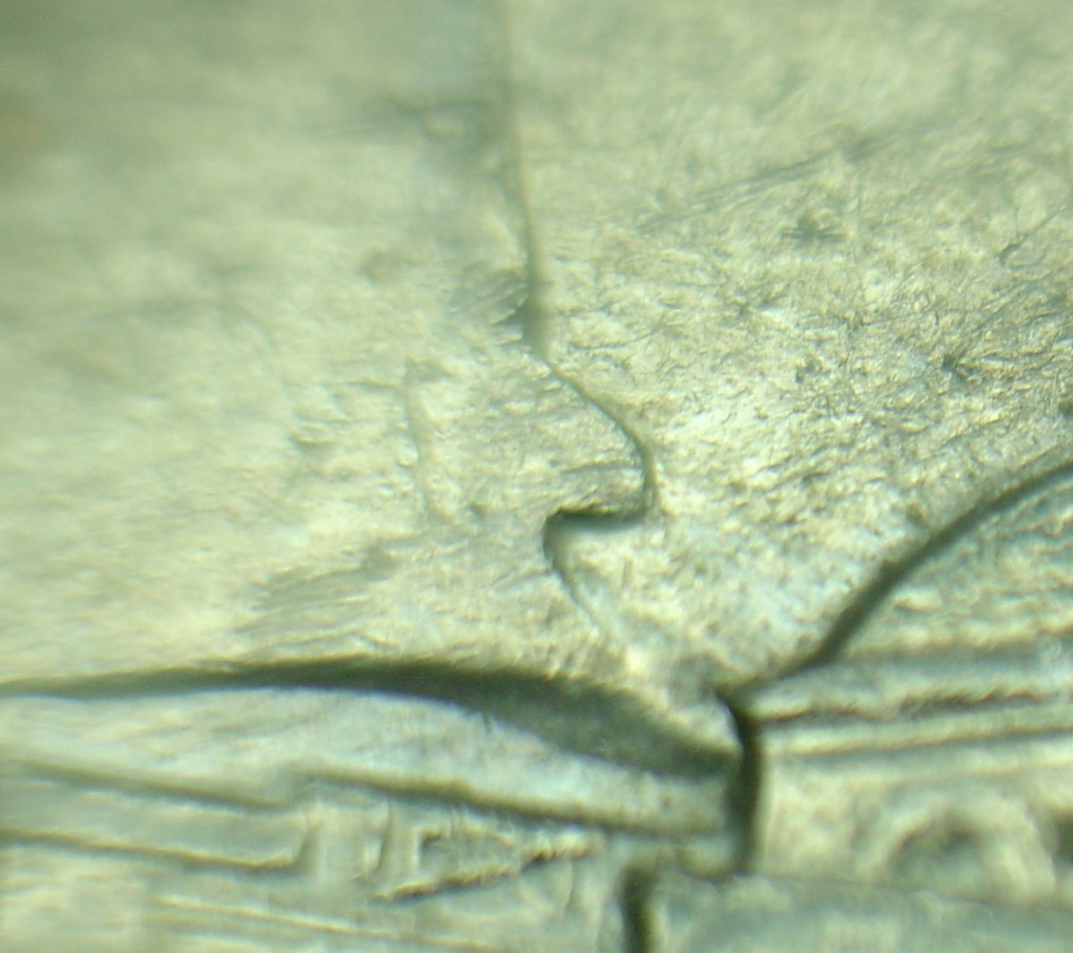 1984-P-Nickel-Driving-Me-Nuts,-Clash,-Crack,-Struck-Through-Or-Multiple
