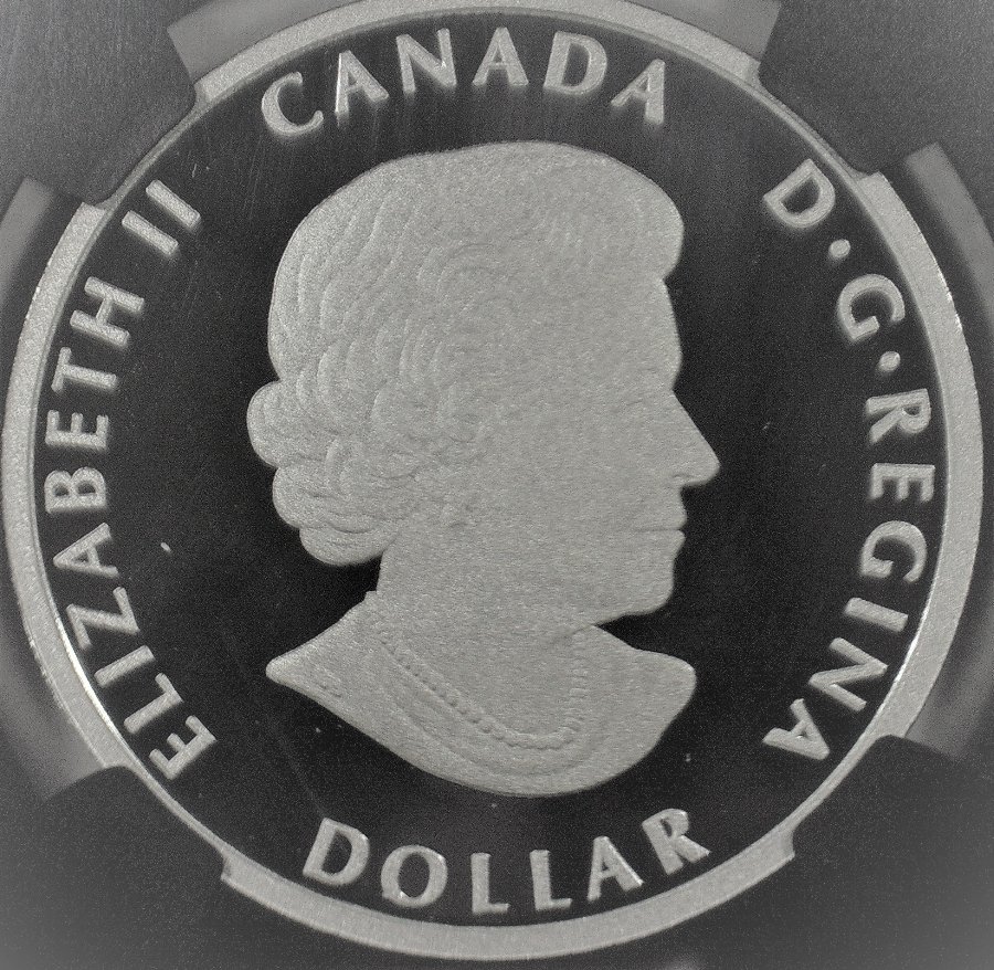 Post-Your-Most-Recent-Canadian-Coin-Purchases!