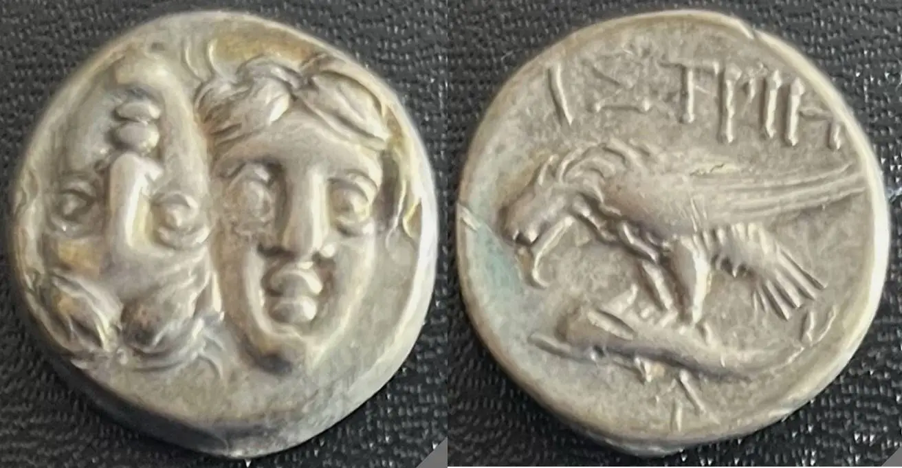 Verify-Authentic?-Harlan-Berk-But.