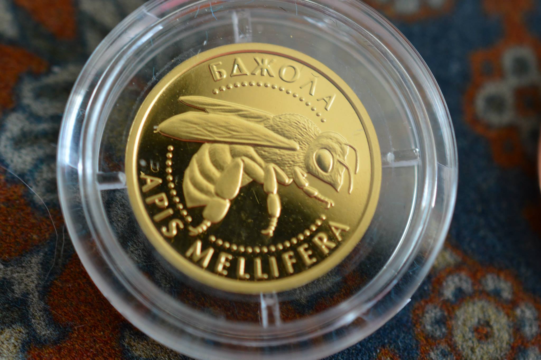 Post-Your-Coins-Depicting-Insects