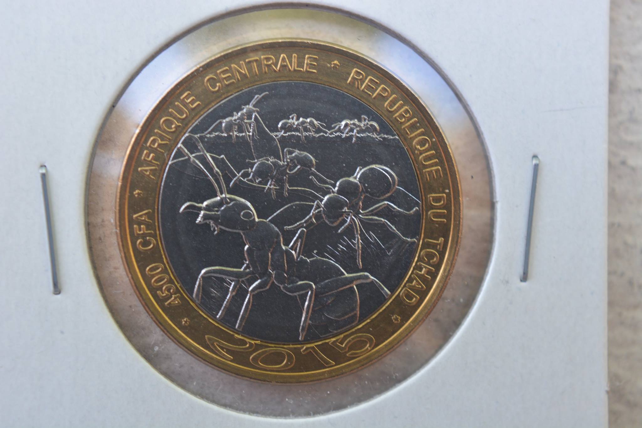 Post-Your-Coins-Depicting-Insects