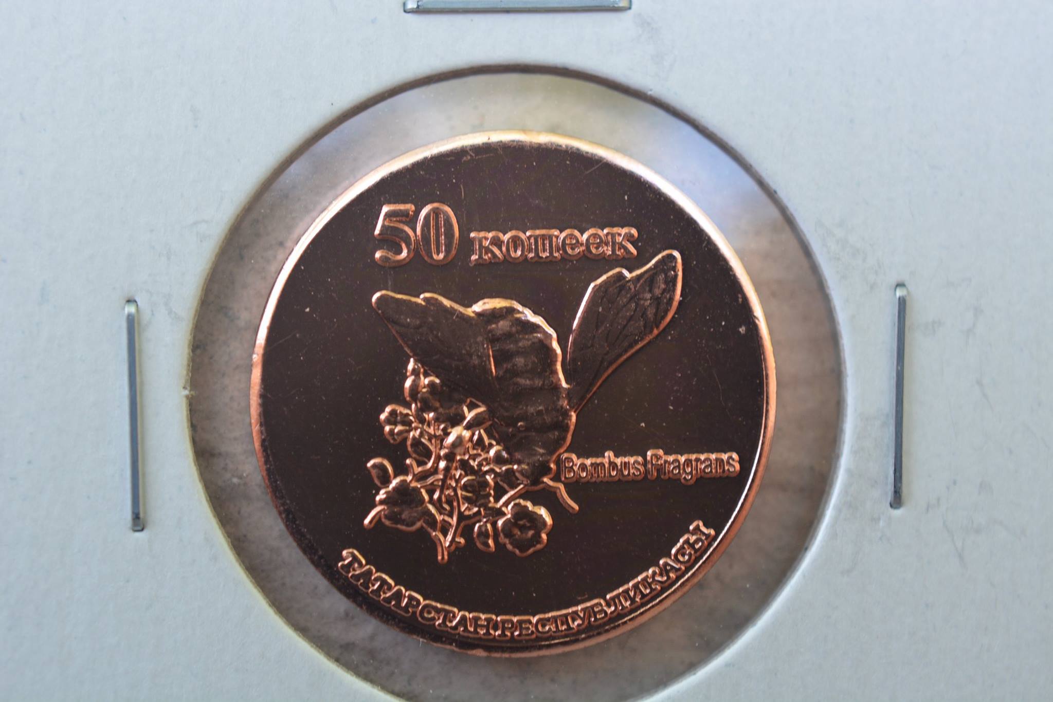 Post-Your-Coins-Depicting-Insects