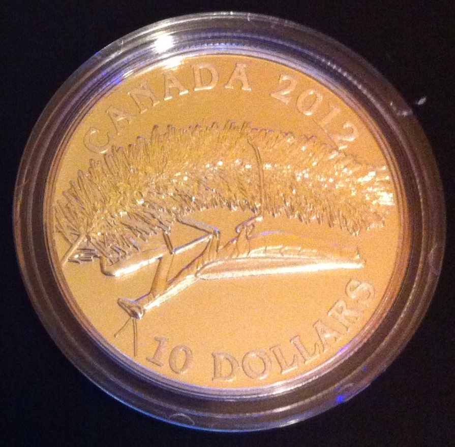 Post-Your-Coins-Depicting-Insects