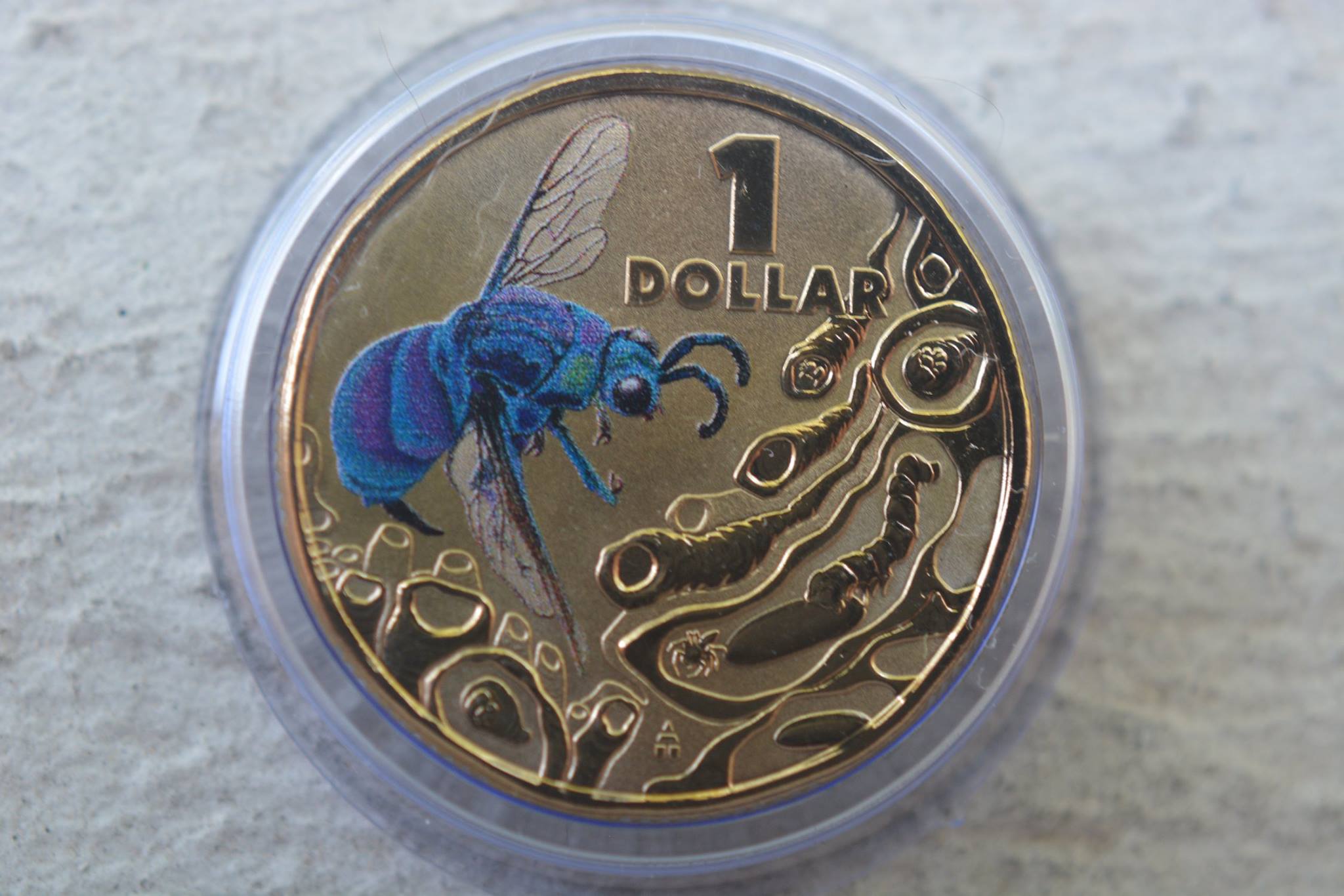 Post-Your-Coins-Depicting-Insects