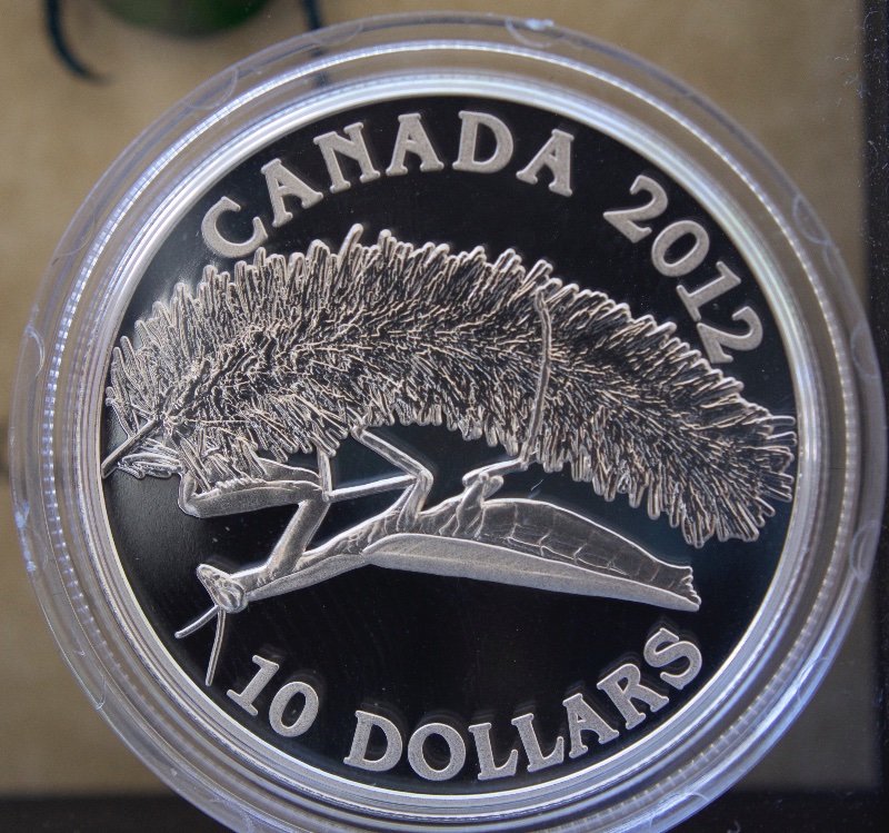 Post-Your-Coins-Depicting-Insects