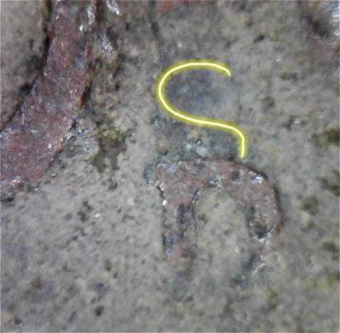 1944-D/S-,-Looking-To-Verify-And-Your-Thoughts