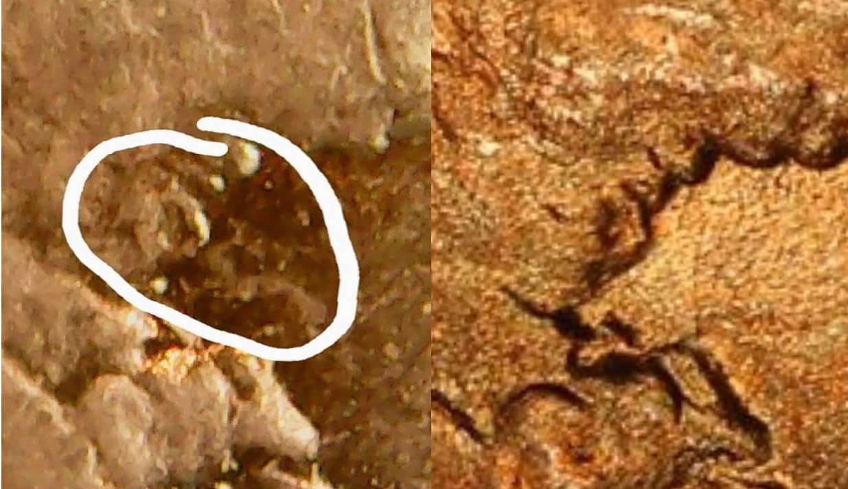 1909-VDB,-Phantom-Raised-S-Mark-On-Throat?