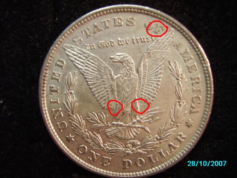 1878-7/8-Grade-It-If-U-Would/--New-Pic-Tail-Feathers