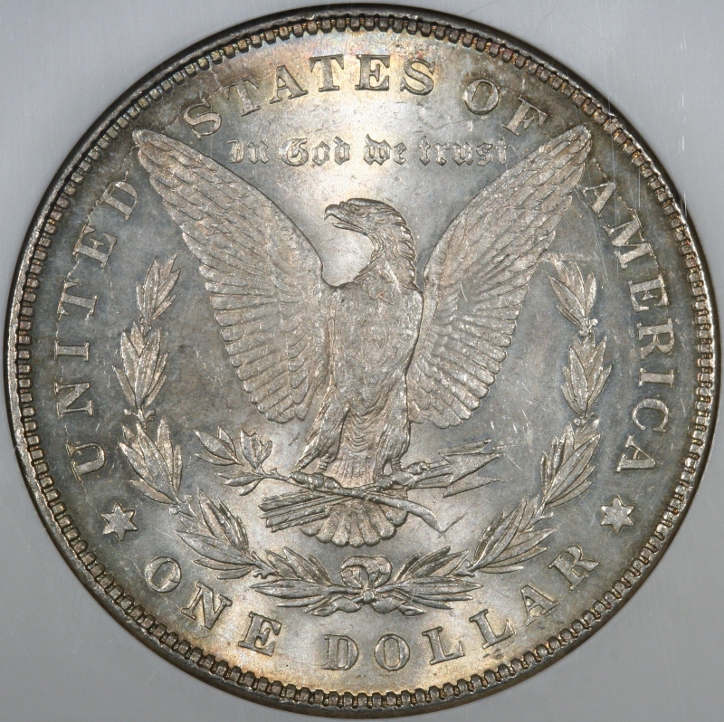 The-28-Days-Of-Morgan-Dollars!-Act-II