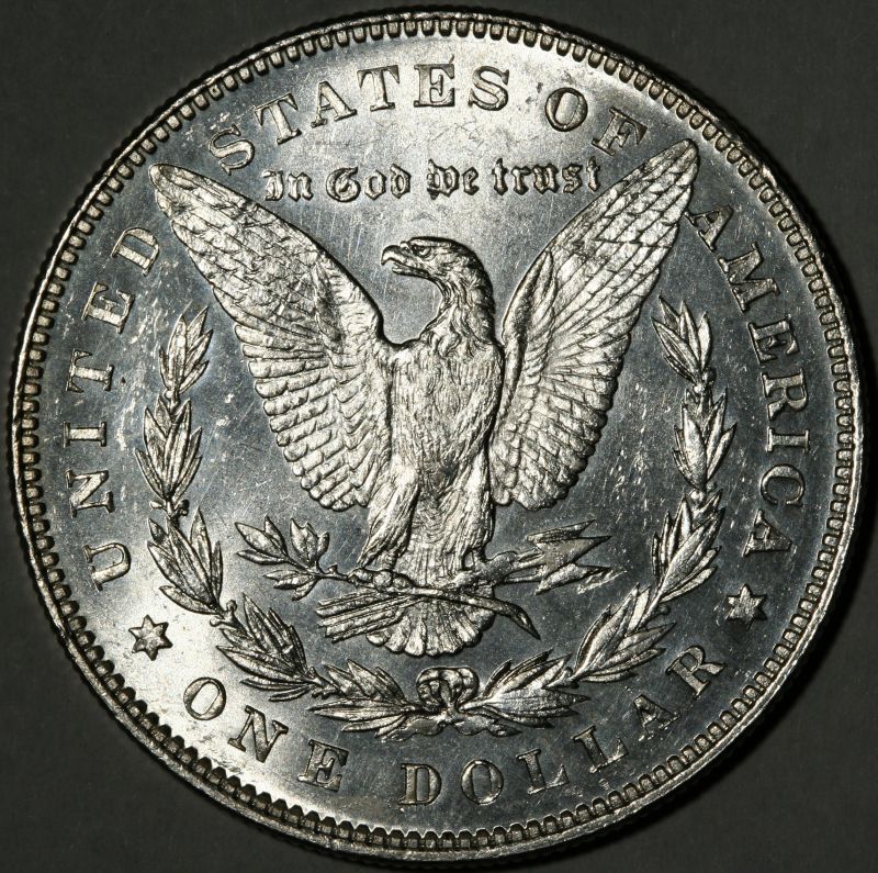 The-28-Days-Of-Morgan-Dollars!-Act-II