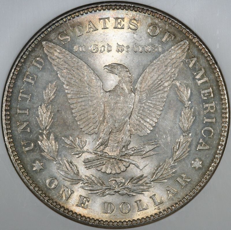 28-Days-Of-Morgans