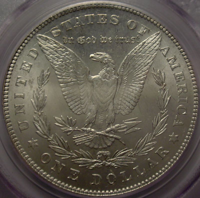 28-Days-Of-Morgans