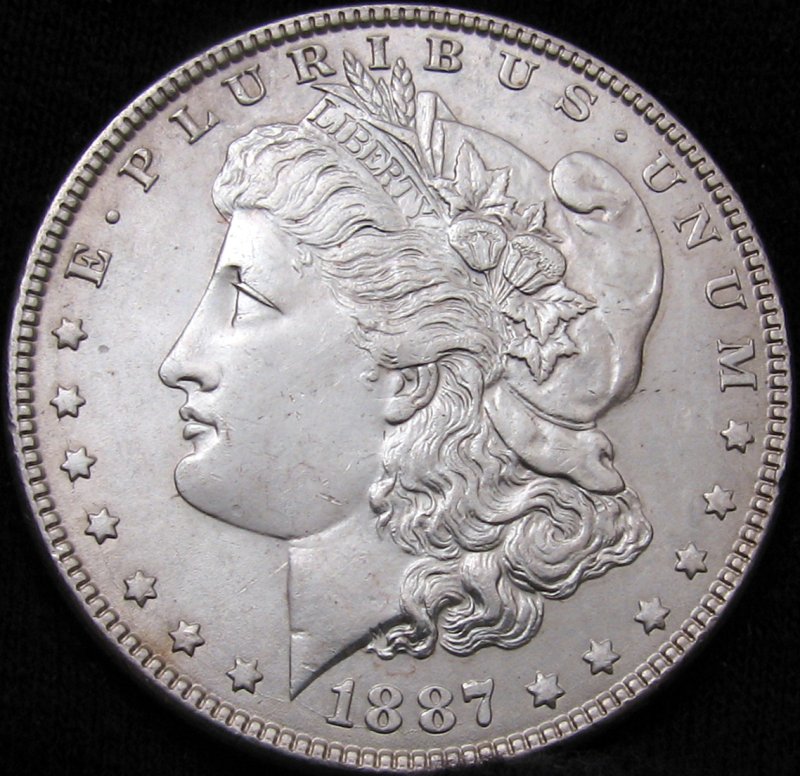 My-First-Morgan