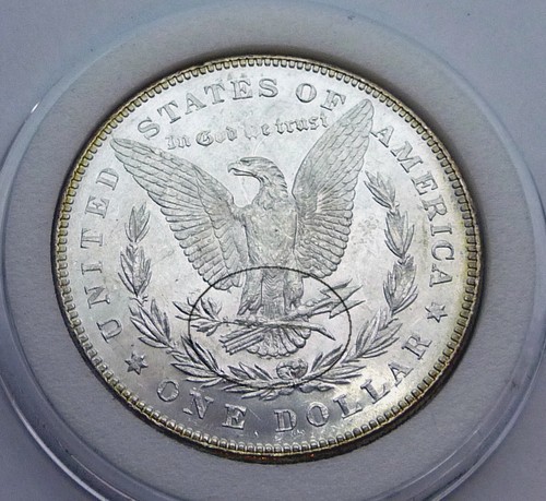 1878-Morgan-7-Over-8-Tail-Feathers