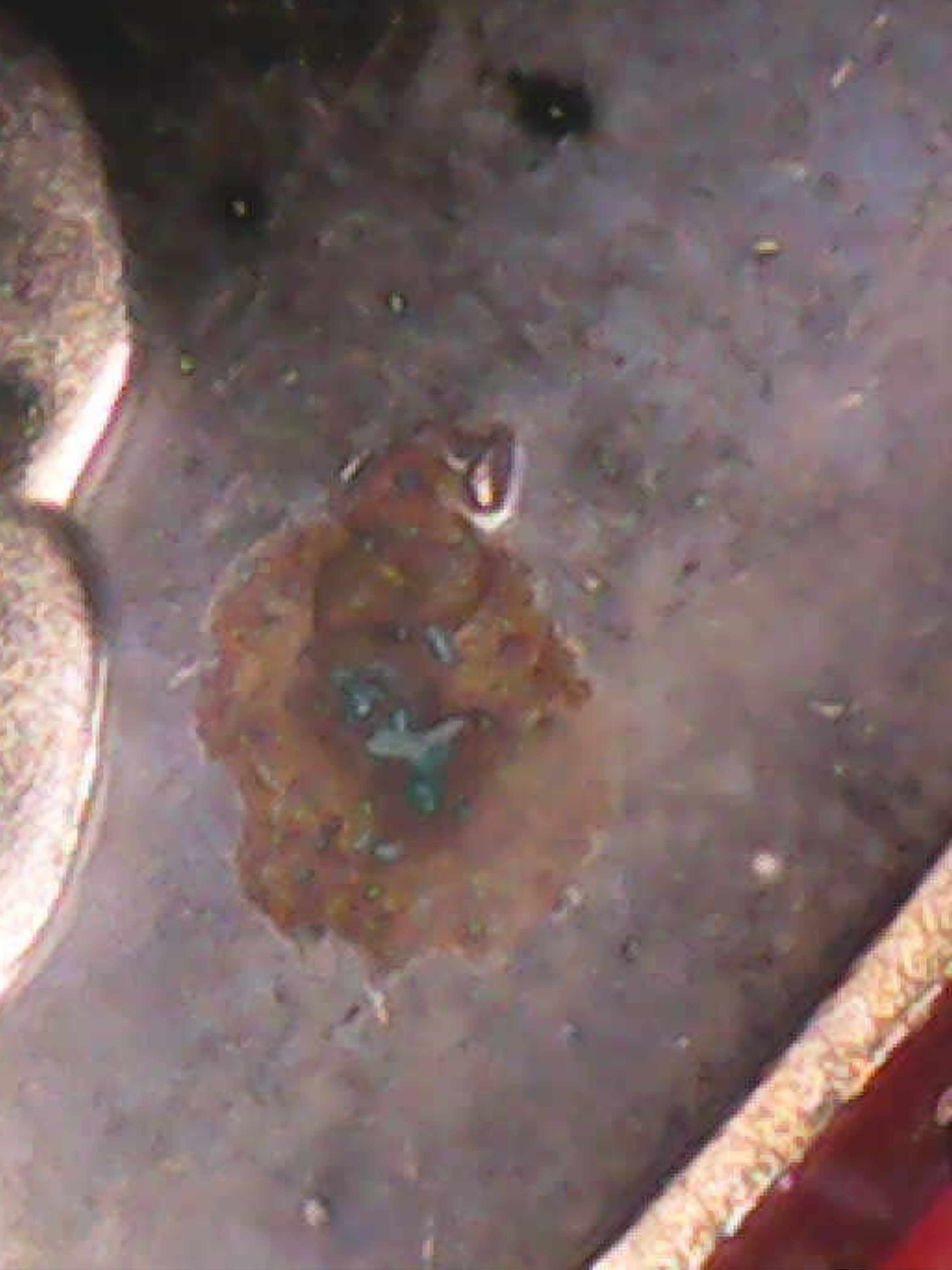 1982-Proof-Quarter-Blemished-Mint-Mark