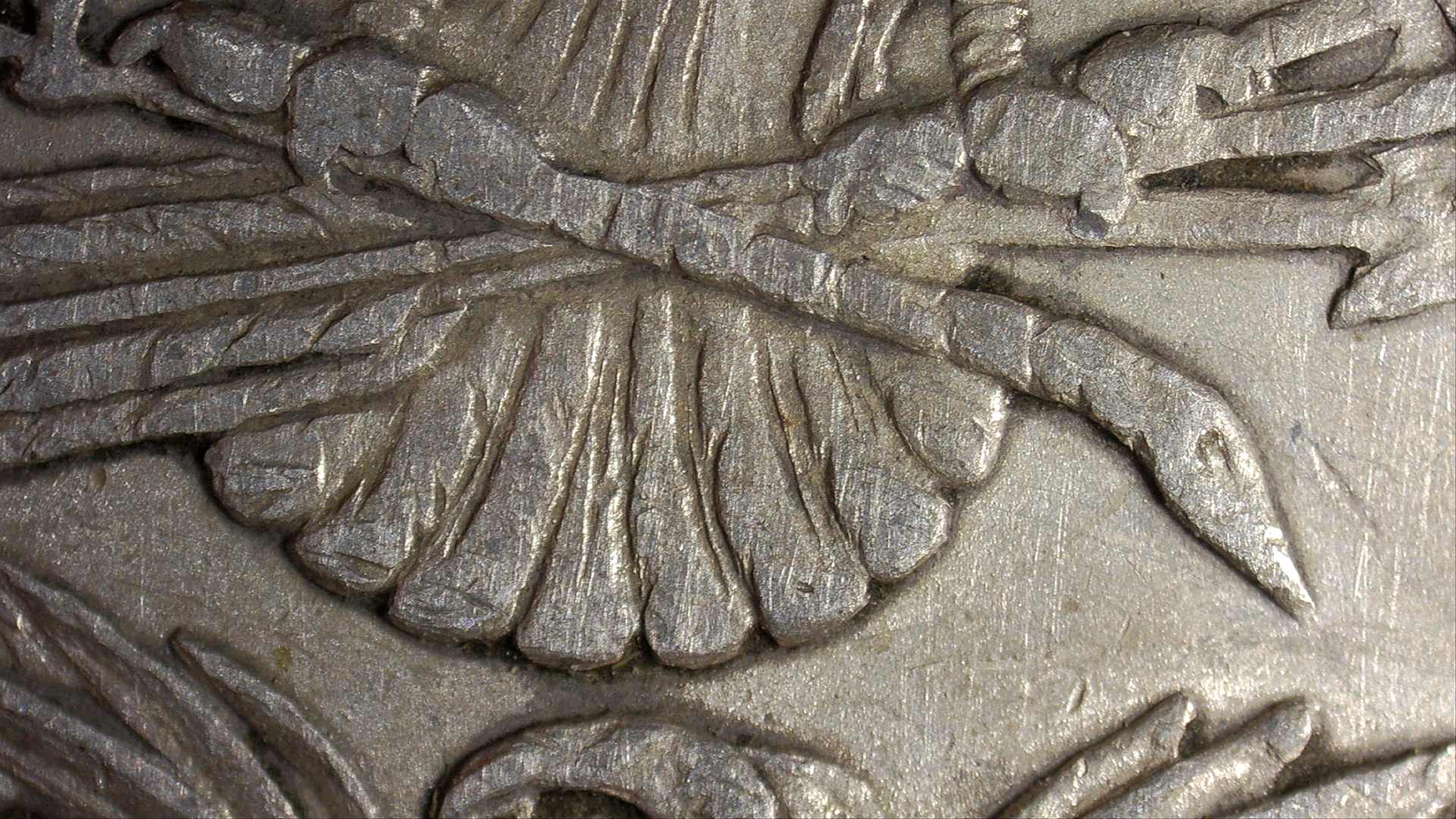 1878-P-8-Tail-Feather-Morgan-Help-Identify?