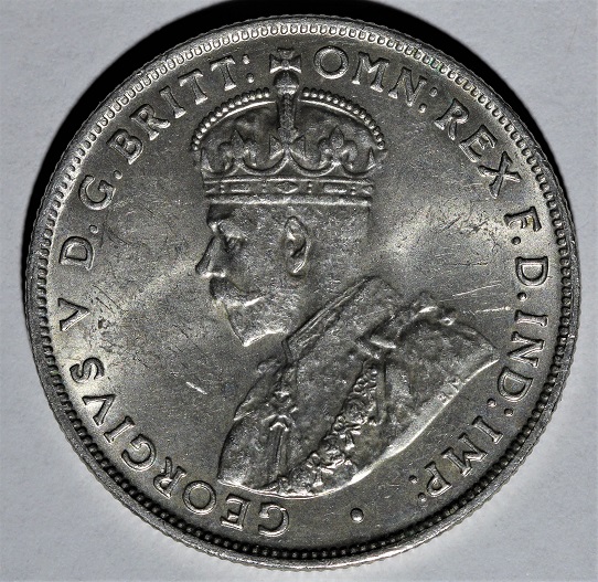 1928-Florin-Grading-Advice