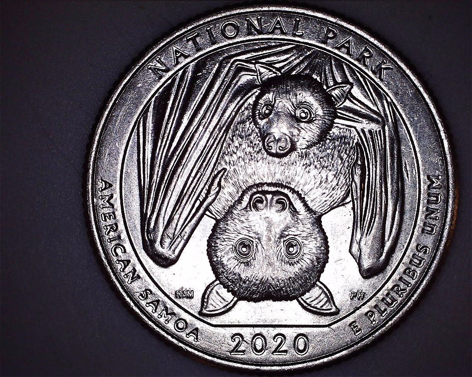 Possible-2020-American-Samoa-DDR?