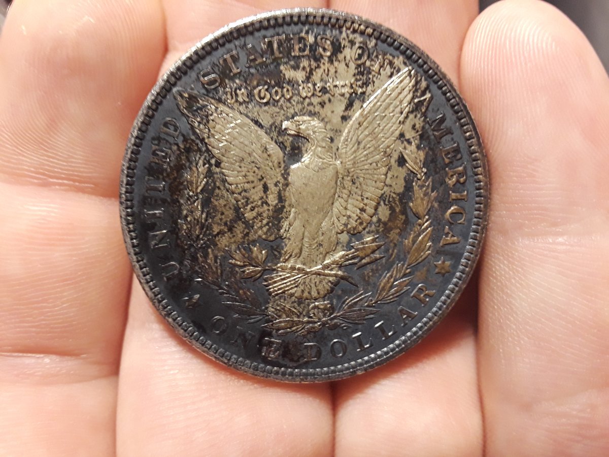 1900-Toned-Morgan-Dollar-Opinions?