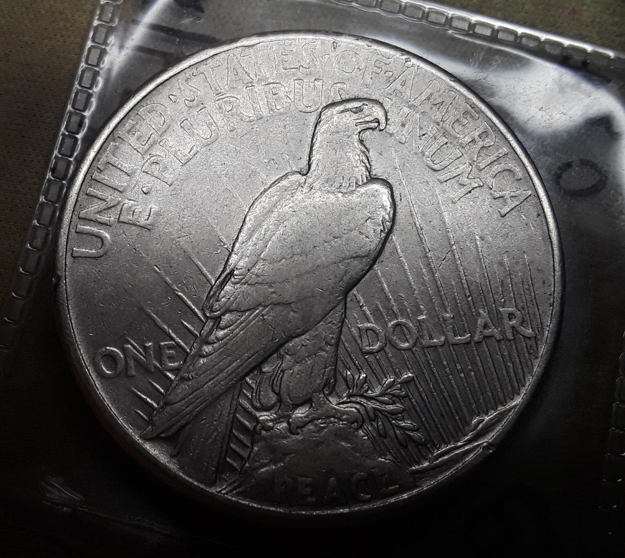 Raw-1921-Peace-Dollar