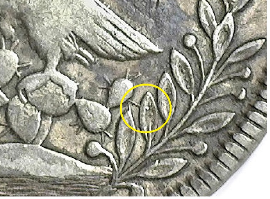 8-Reales-Posted--Looking-For-Observations-&-Comments
