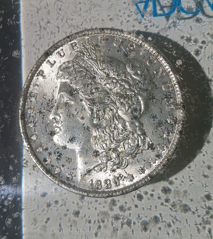 Morgan-Coin-Poured-In-Display