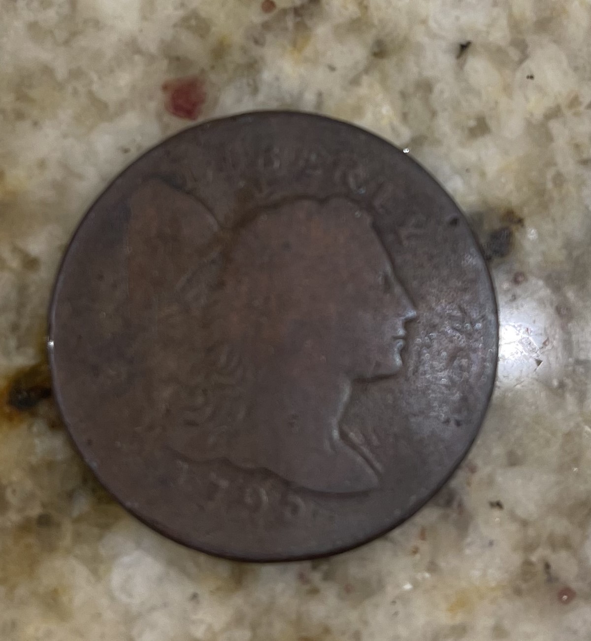 Large-Cents-And-Should-I-Send-Them-In-To-A-Third-Party-Grader?