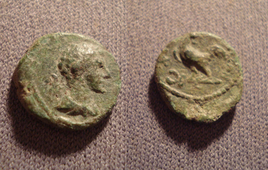 13mm-Bronze-With-Rooster