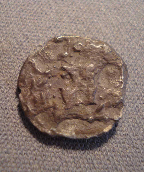 To-Be-Siliqua,-Or-Not-Be-A-Siliqua,-That-Is-The-Question.