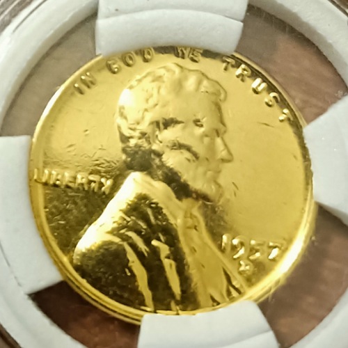 Gold-Wheat-Penny's--?
