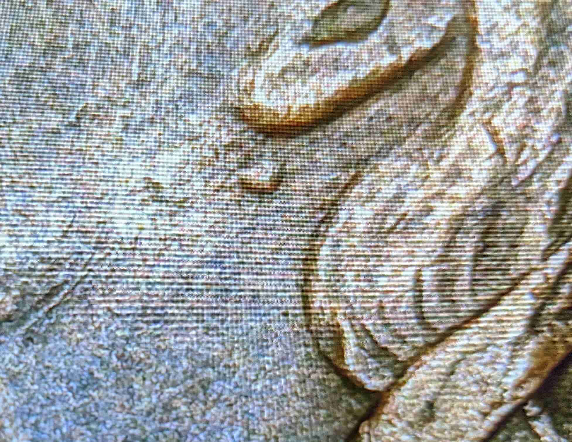 Weird-Marks-On-1907-Indian-Head-Cent